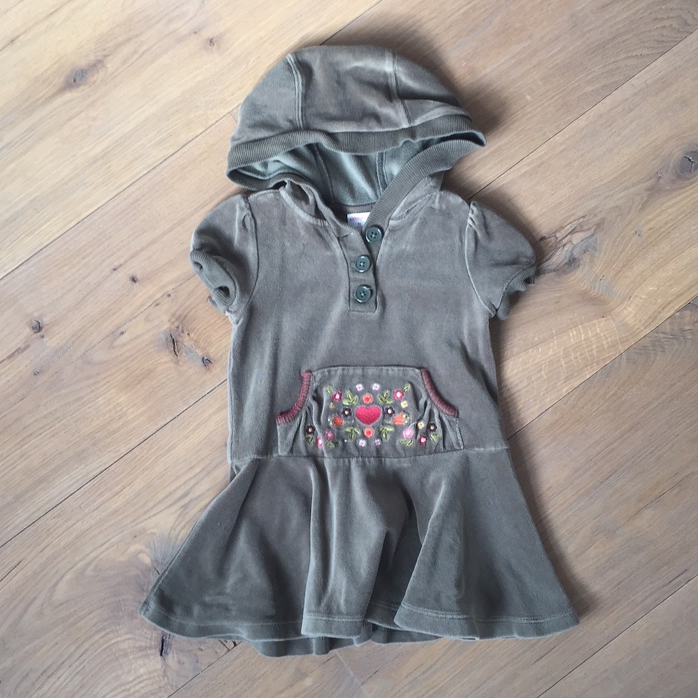 Gymboree Hooded Jumper